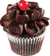 Chocolate-Flower-Cupcake-1351x1520-1.png