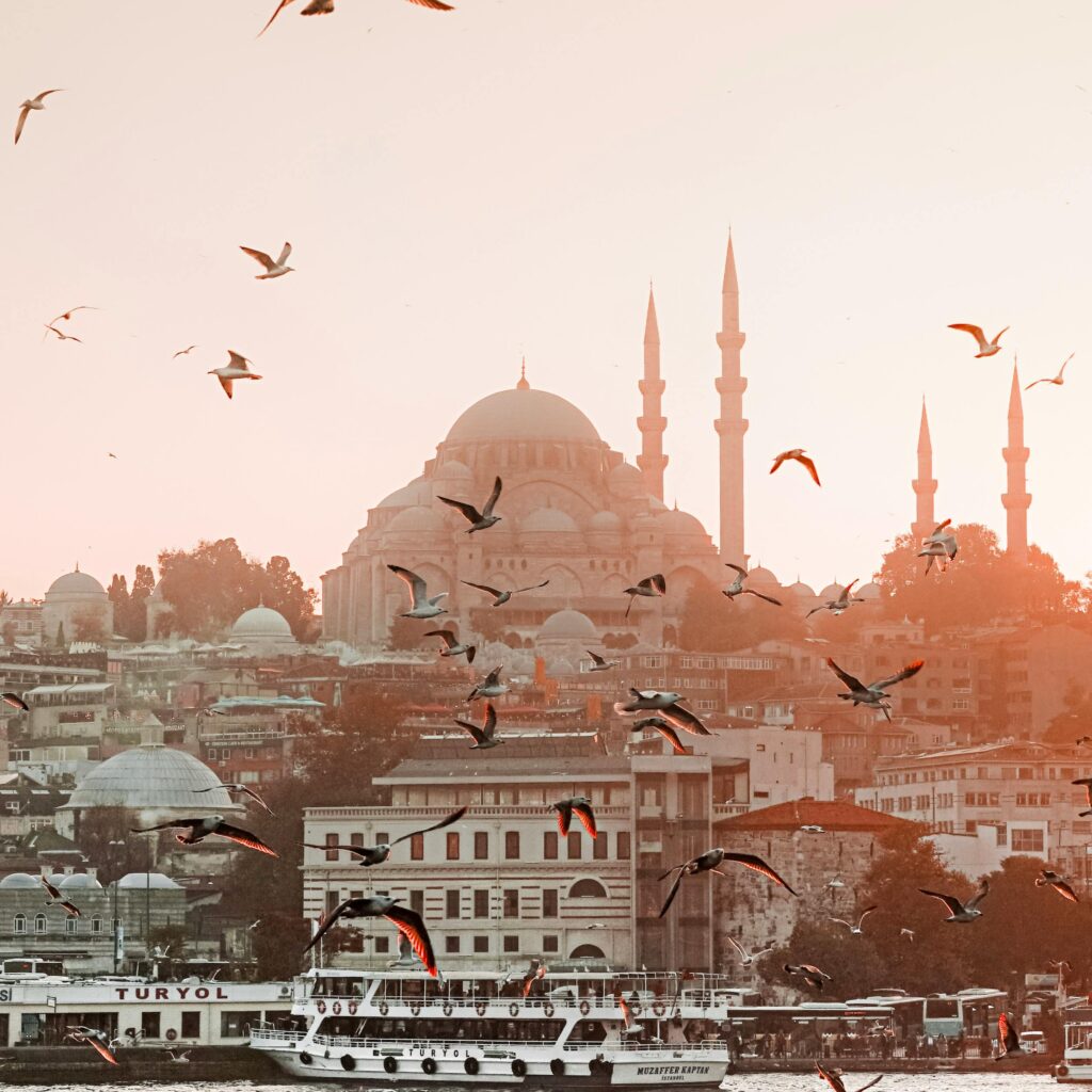 Birds flying over water