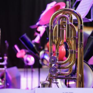 trombone, stage, concert